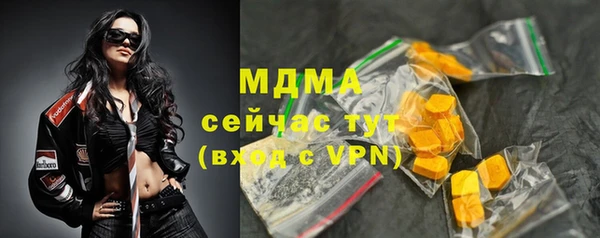 индика Белокуриха