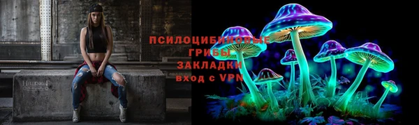 индика Белокуриха