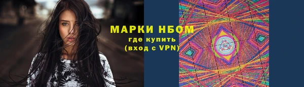 прущие грибы Снежногорск