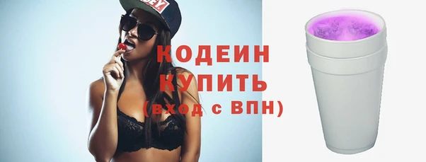 индика Белокуриха