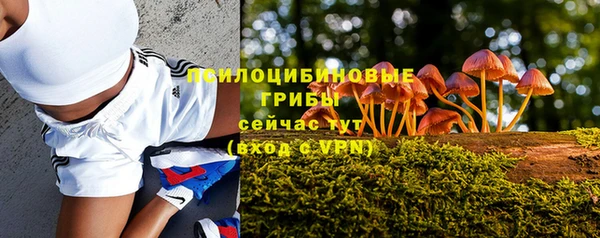spice Белоозёрский