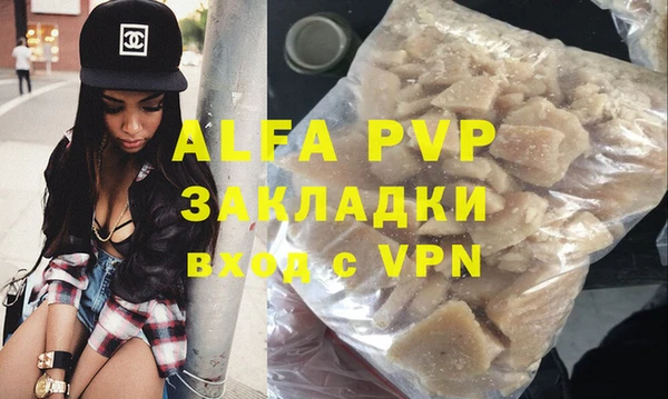 индика Белокуриха