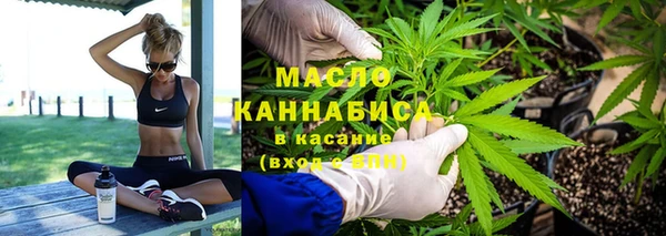 индика Белокуриха