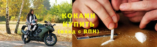 индика Белокуриха