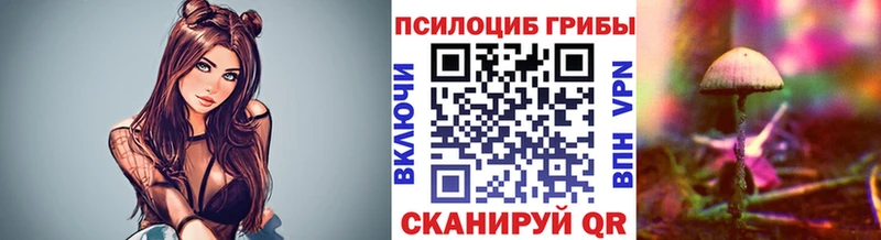 kraken   darknet состав  Мглин  Галлюциногенные грибы MAGIC MUSHROOMS  закладки 